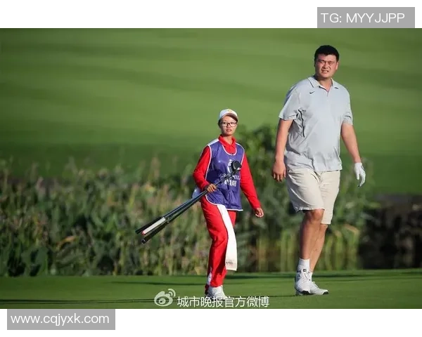 国内明星对足球明星的喜爱程度及其背后的原因分析